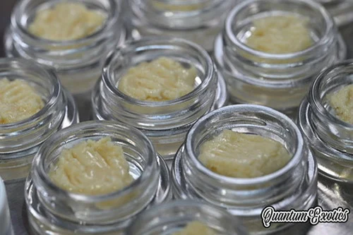 Z3 X Papaya 3.0 Live Rosin THCa