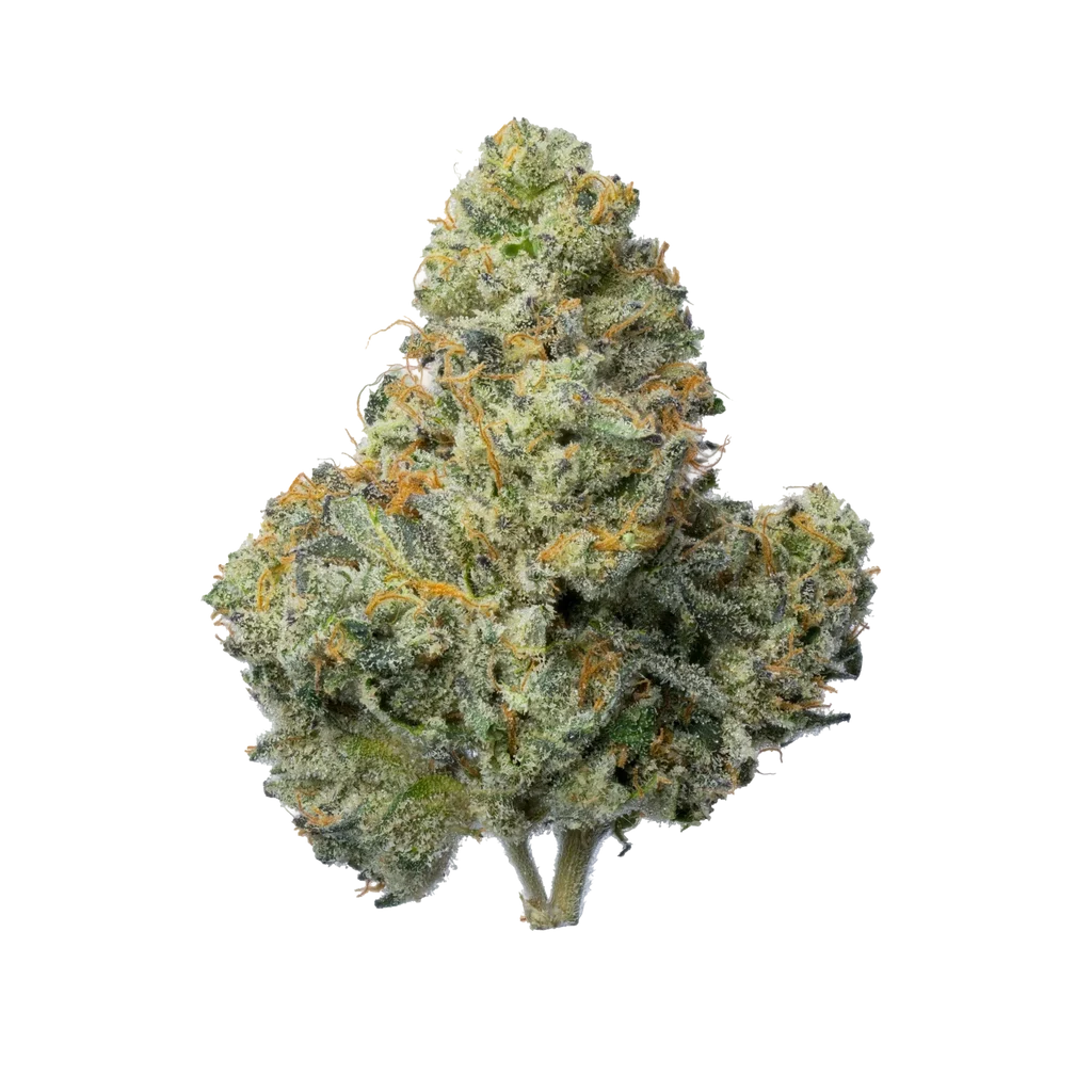 Animal Runtz THCA - Wholesale – 14g