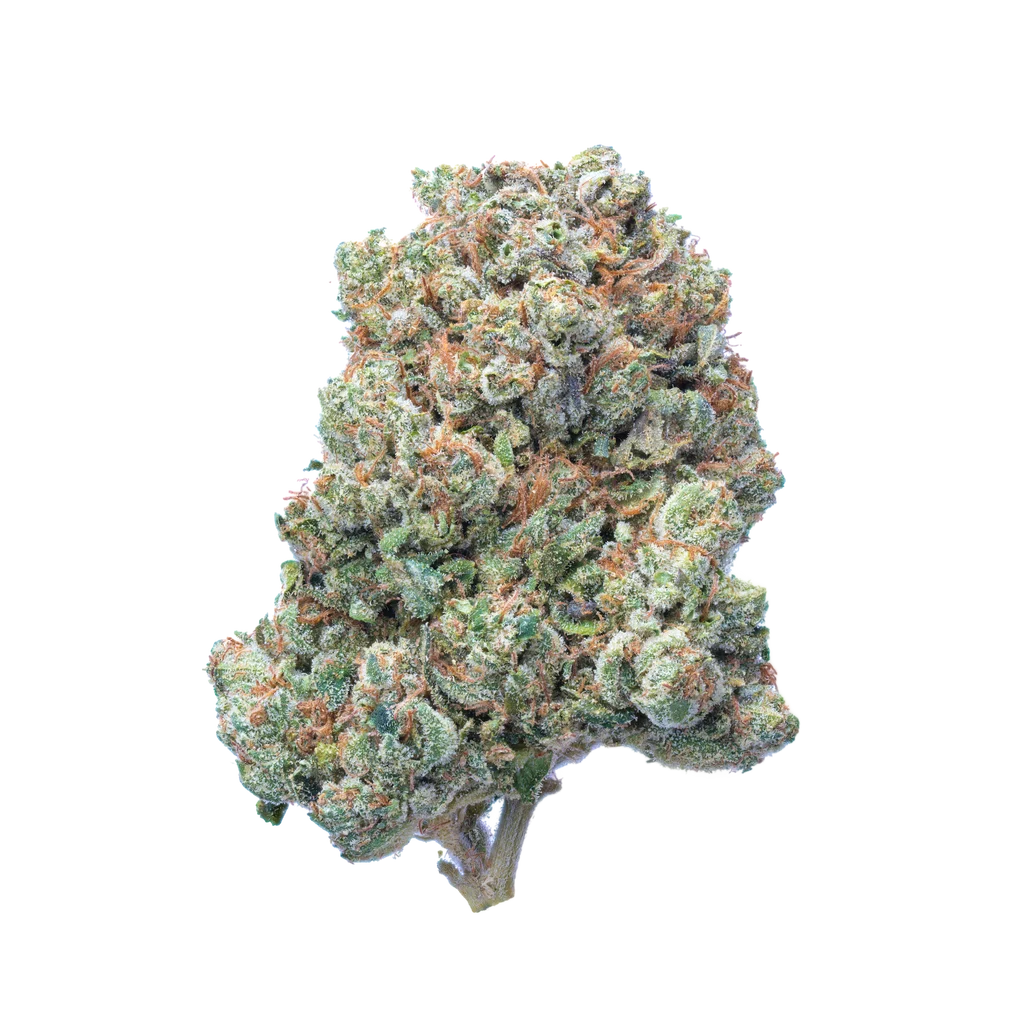 SFV OG THCA – 28 Grams (1oz)