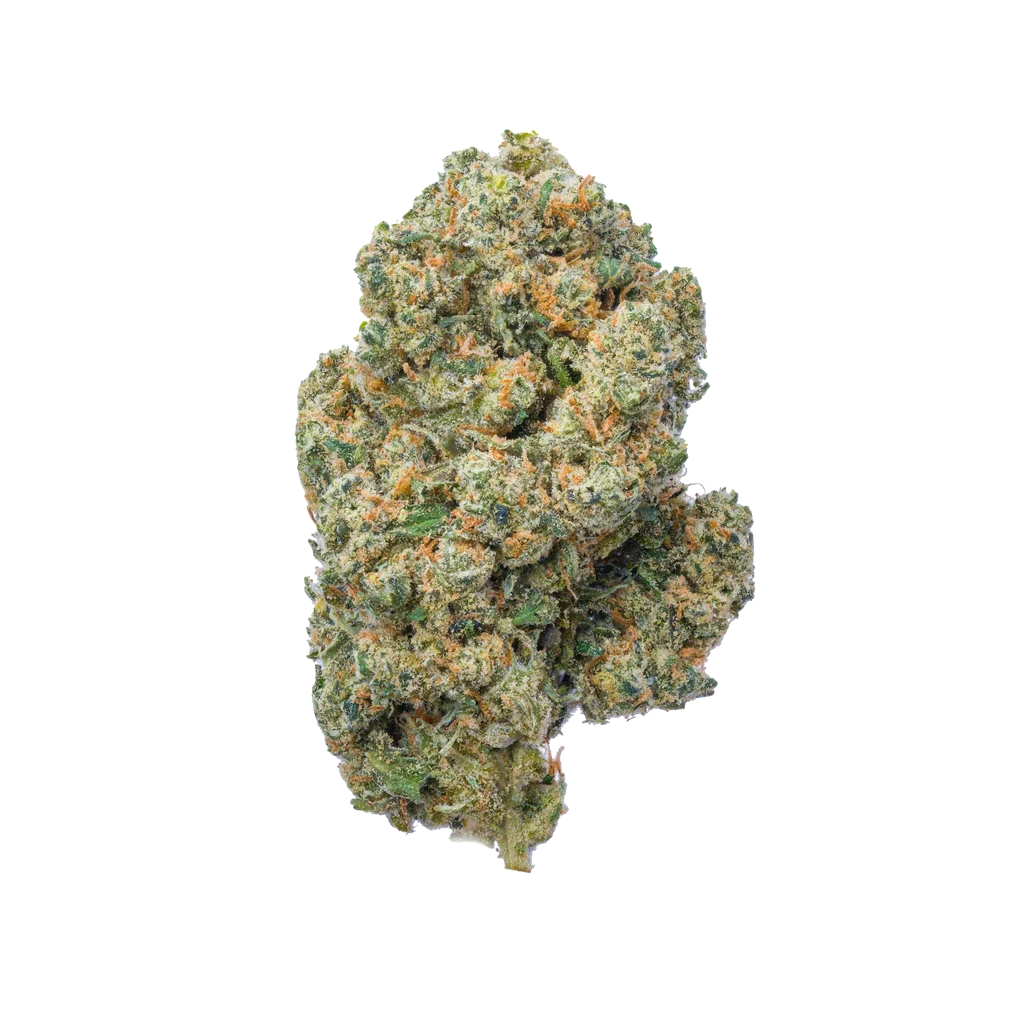 Jack Herer — Secret Nature CBD