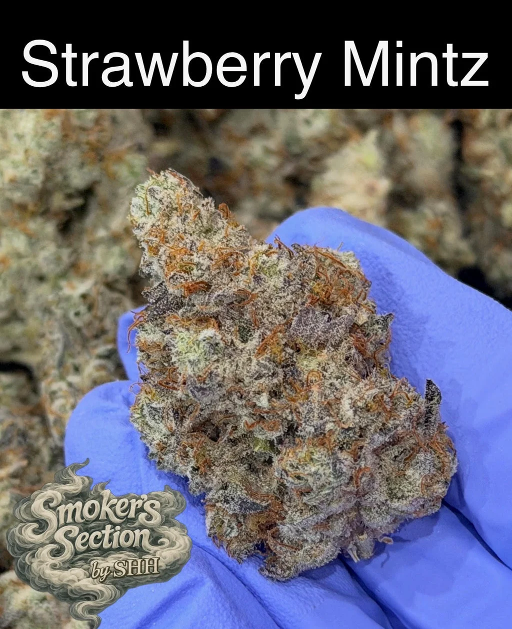 Smoker's Section - DROP – 14g Punch Breath Mimosa (craft indoor)