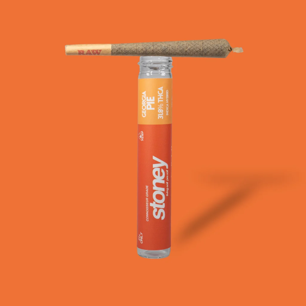 Georgia Pie THCA – 1 GRAM KING JOINT