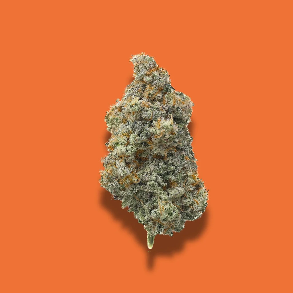 MAC 1 — Stoney Branch