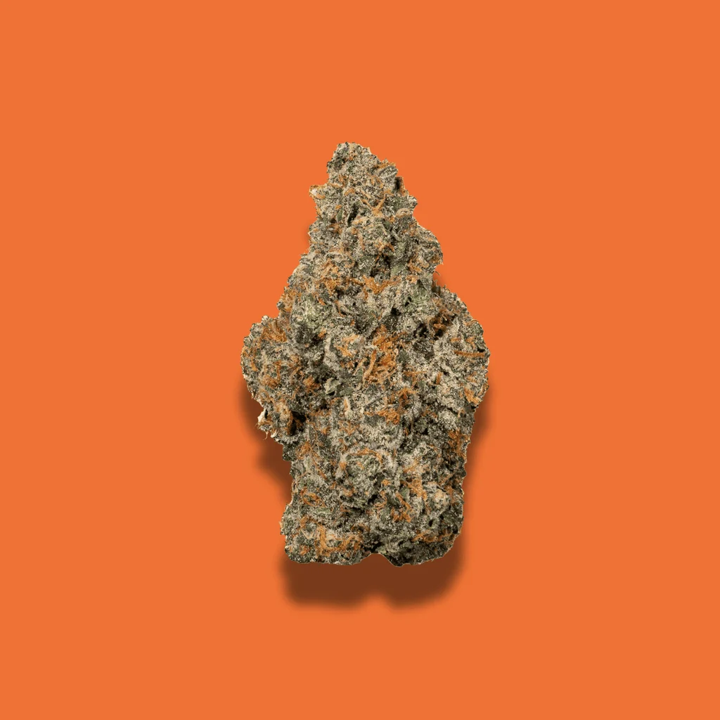Detroit Muscle THCA – 7 GRAMS