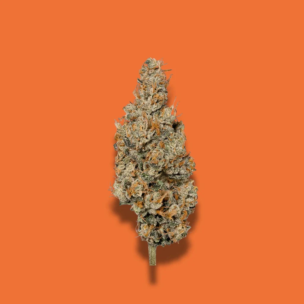 GMO THCA – 1 GRAM KING JOINT