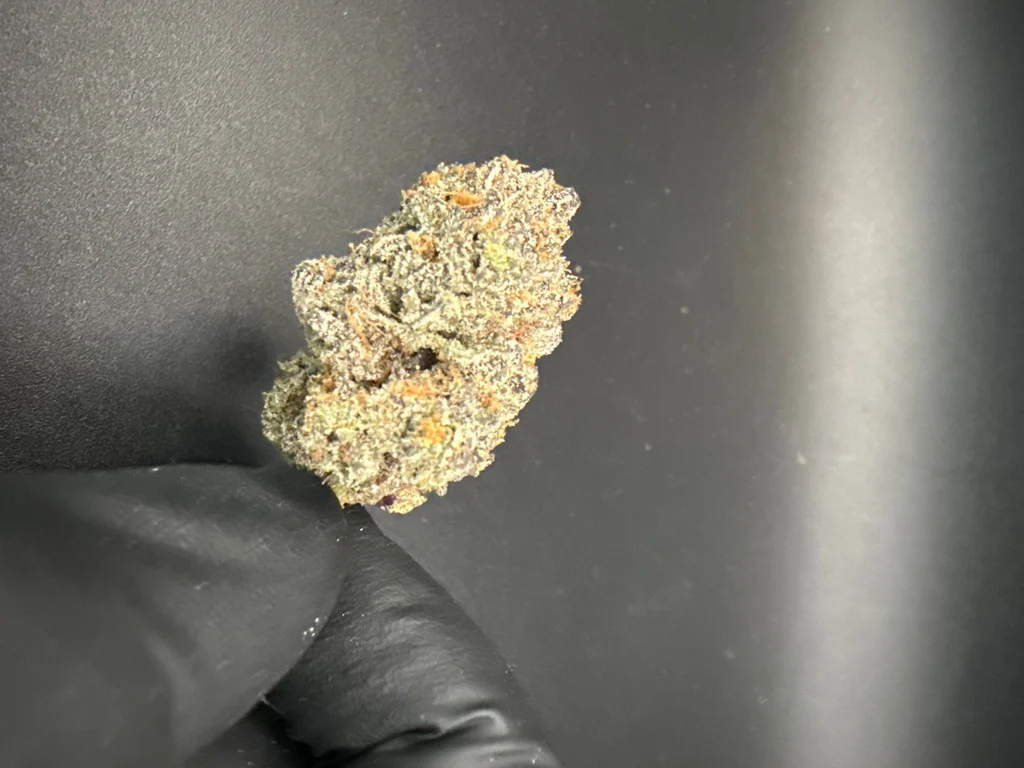 Ice Cream Cake - Exotic THCa Flower – 1 oz