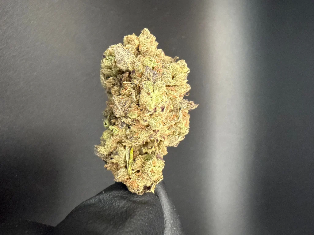 Trap Fuel - Premium THCa Flower – 28g