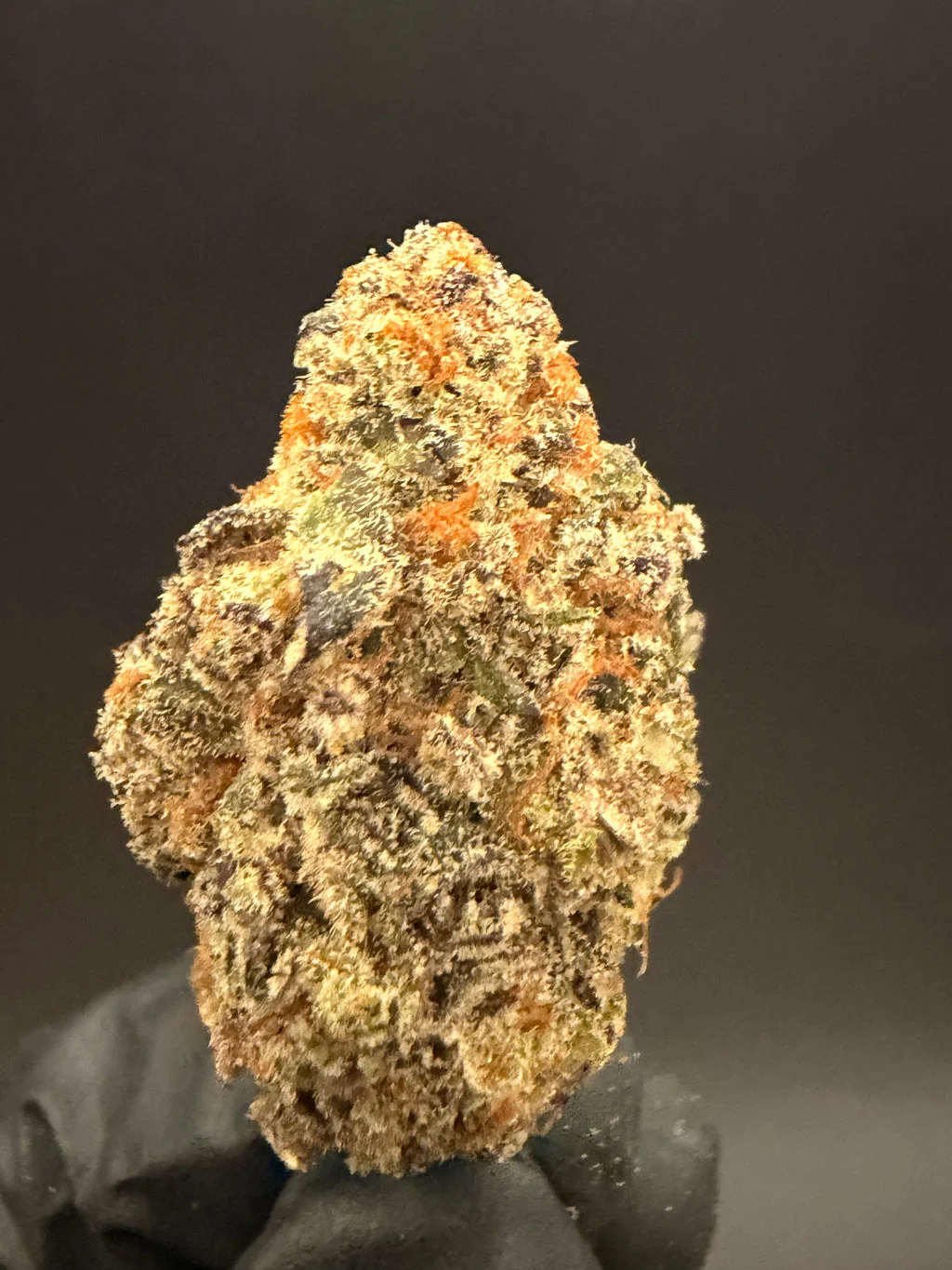 Black Maple - Exotic THCa Flower – 28g