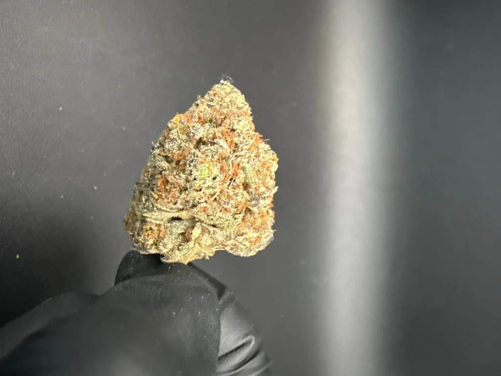 Gary Payton - Exotic THCa Flower – 1 oz