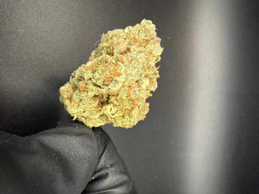 Gorilla Breath - Premium Bulk THCa Flower – 1/ – half lb