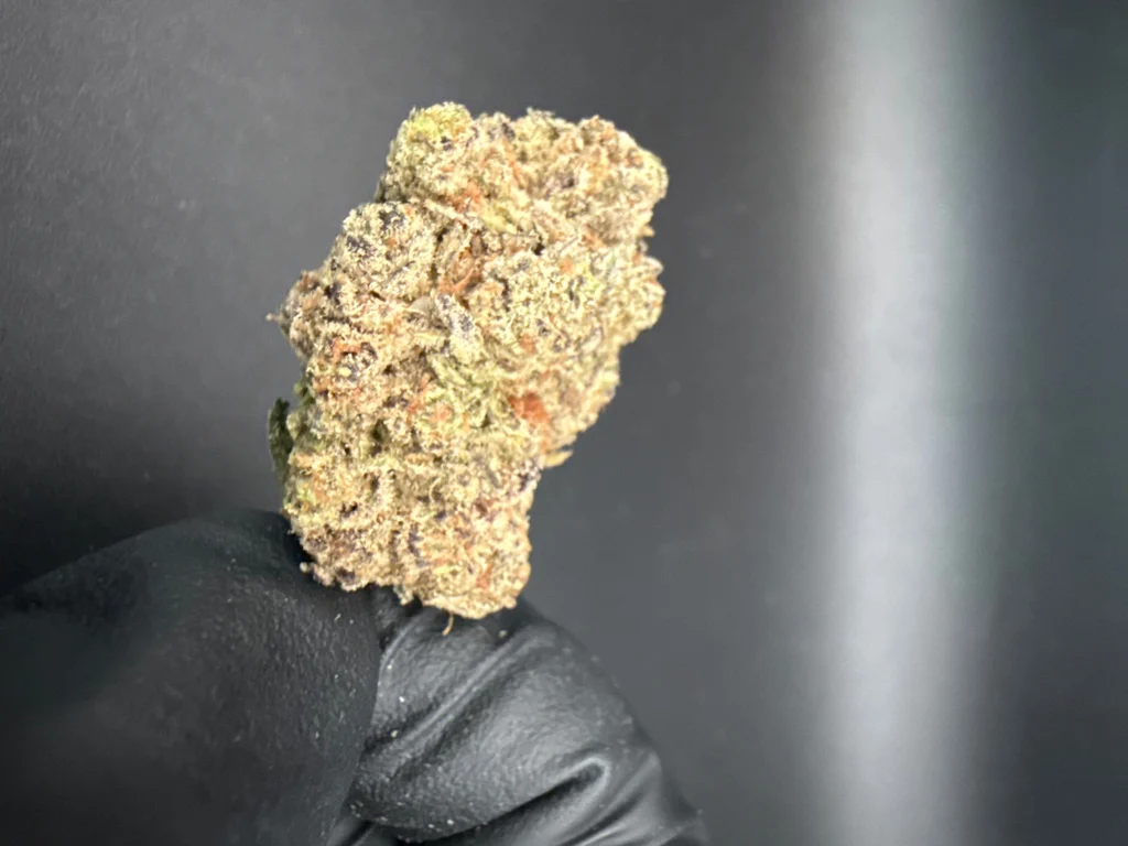 Trapzilla - Premium THCa Flower – 1 oz