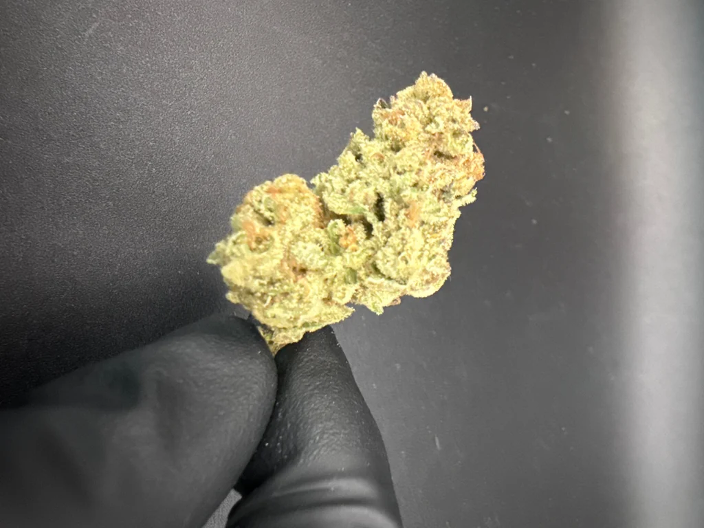 Punch Breath flower