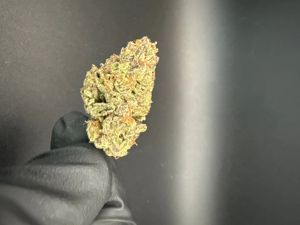 Marshmallow Runtz - Economy THCa Flower – 1 oz