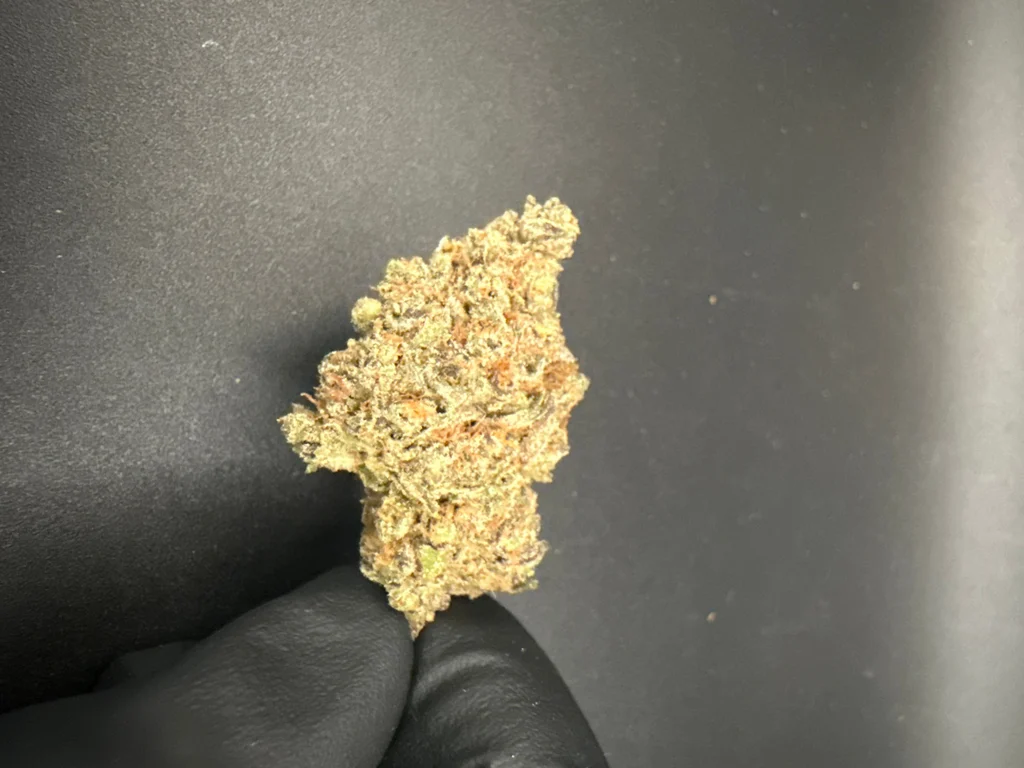 Ogre Breath - Premium THCa Flower – 28g