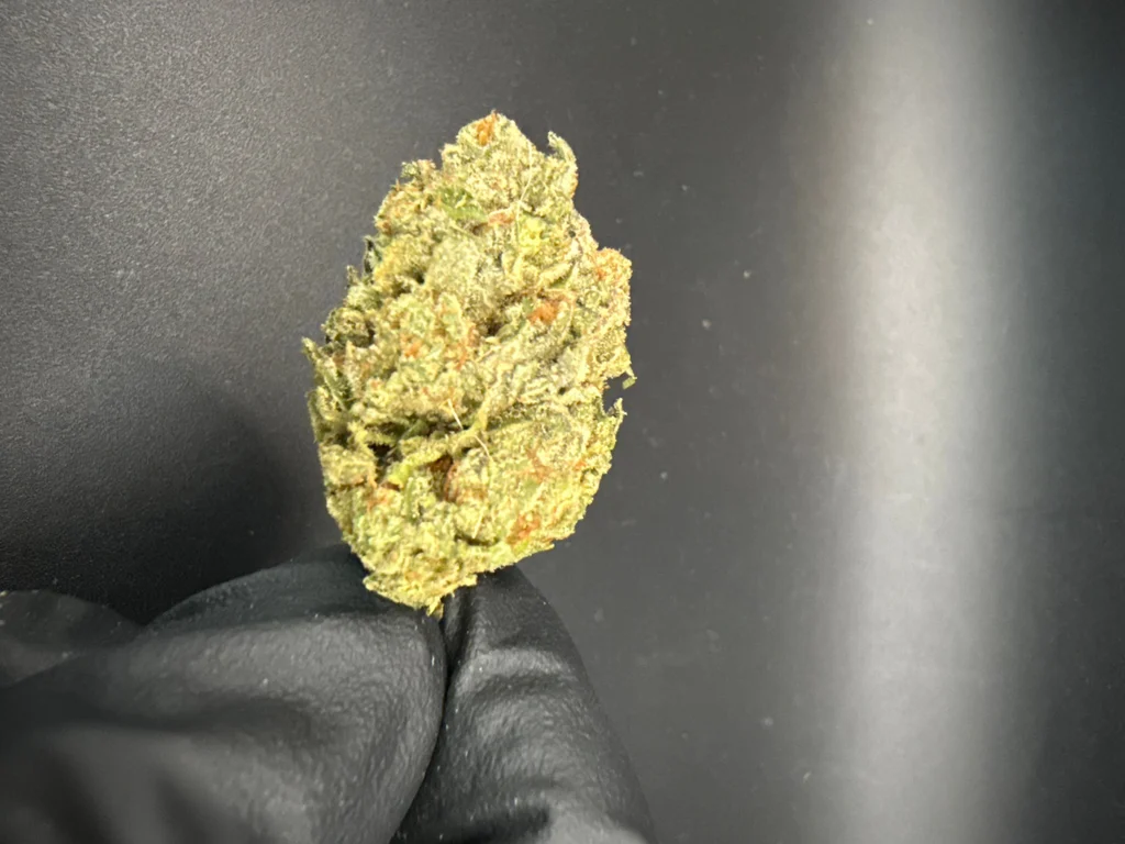 Smash Burger - Premium Bulk THCa Flower – 1 lb