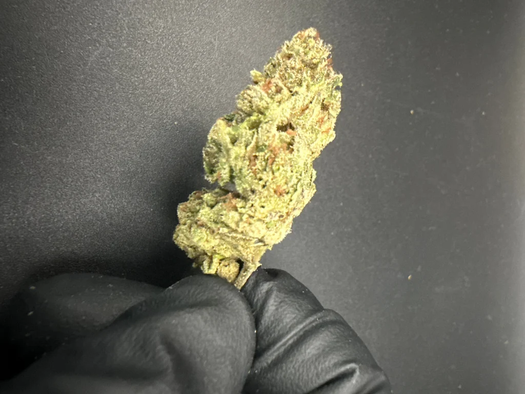 Gastro Pop - Economy THCa Flower – 28g