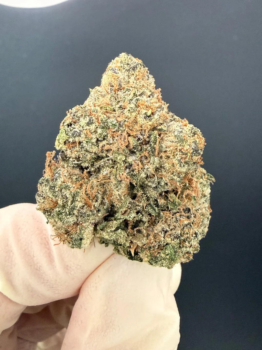 Gelato #33 - Exotic THCa Flower – 3.5g