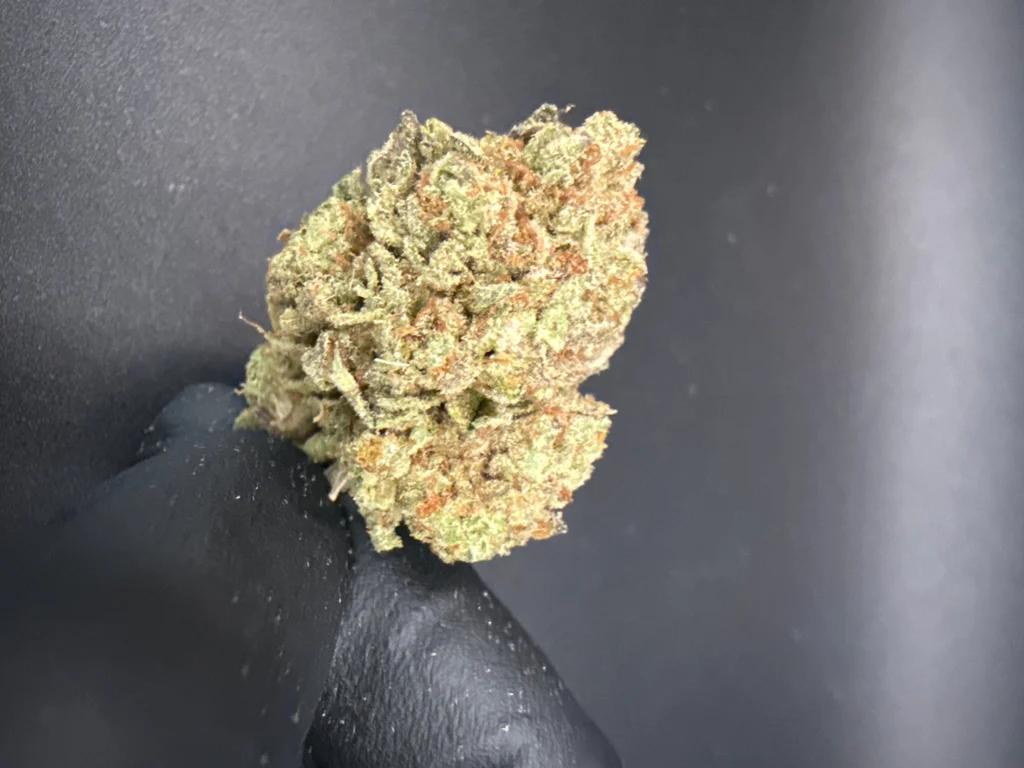 Sticky Buns - Economy THCa Flower – 28g