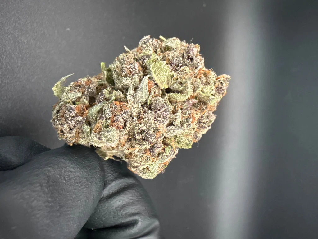 Tropicana Cherry flower