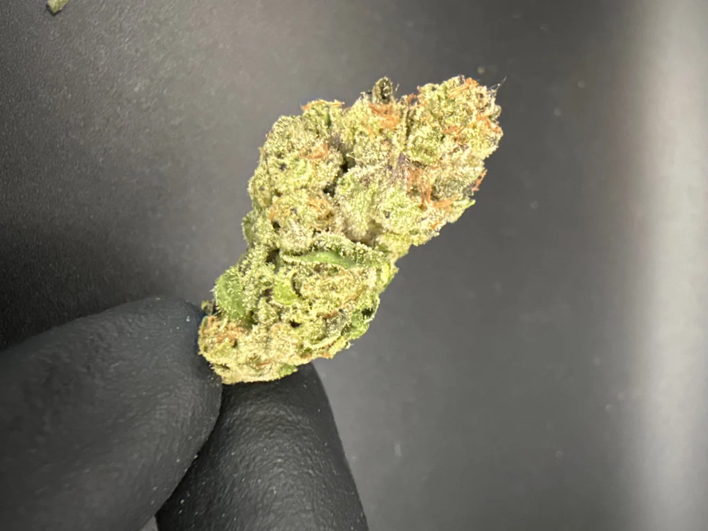Hash Burger - Economy THCa Flower – 1 oz