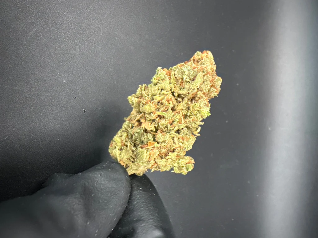 Jack Herer - Economy THCa Flower – 3.5g