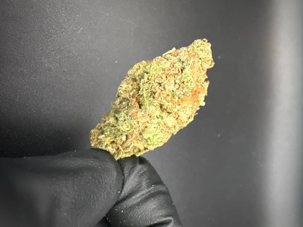 Mule Fuel - Premium THCa Flower – 28g
