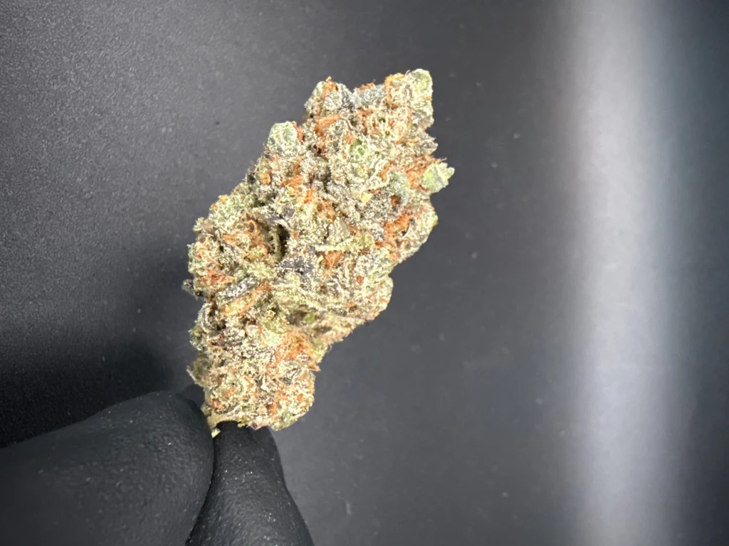 Purple Milk - Exotic THCa Flower – 1 oz