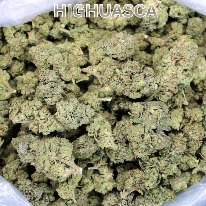 Cheap THCA Flower Pound – Highuasca (Hybrid) - Summer '26 Harvest