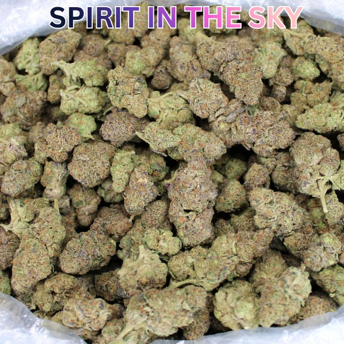 Cheap Indoor THCA Flower Ounce – Spirit In The Sky (Hybrid) - New Arrival