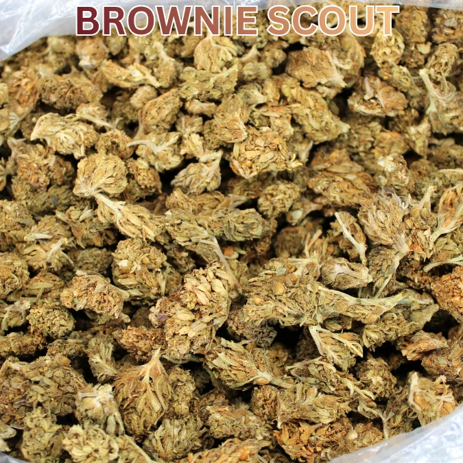 Cheap THCA Smalls Pound – Brownie Scout (Indica Hybrid) - New Arrival – 1/ – half lb