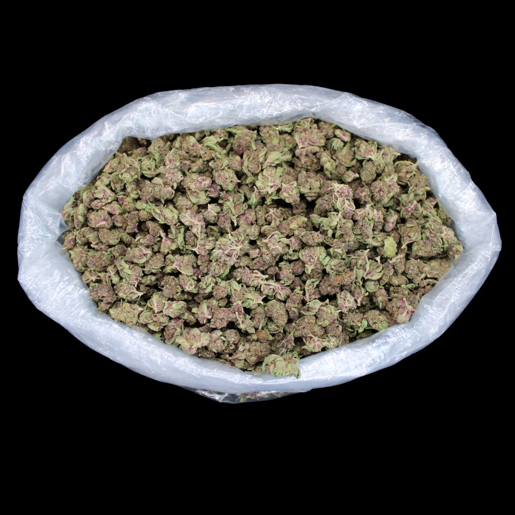 Tropicana — THCA Small Buds
