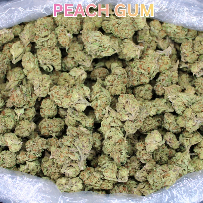 Peach Gum flower