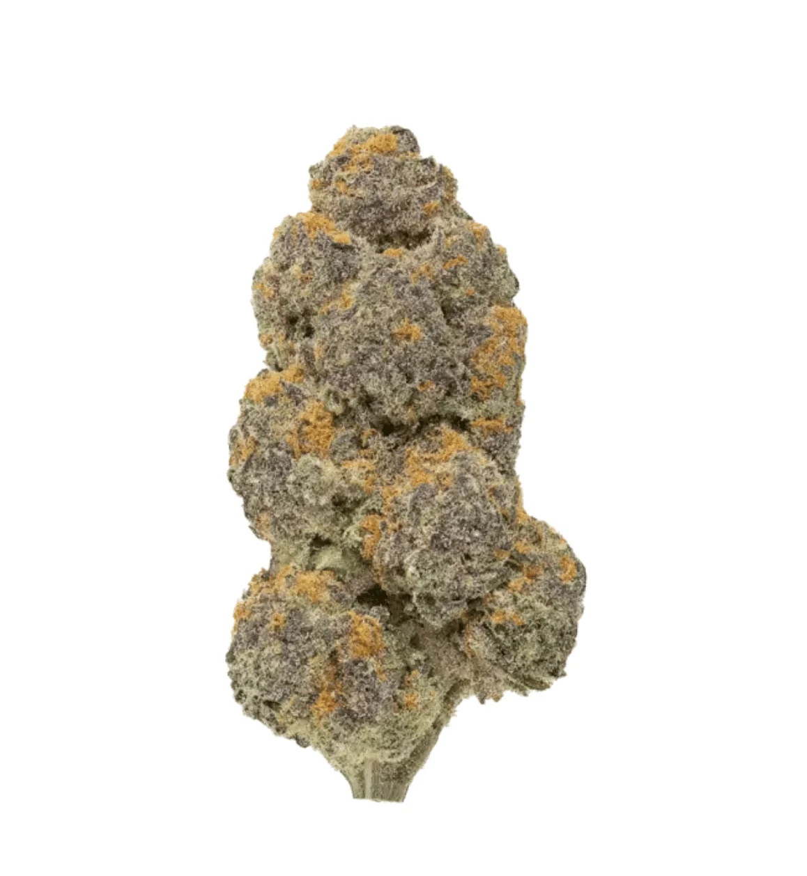 Mule Fuel — Utoya