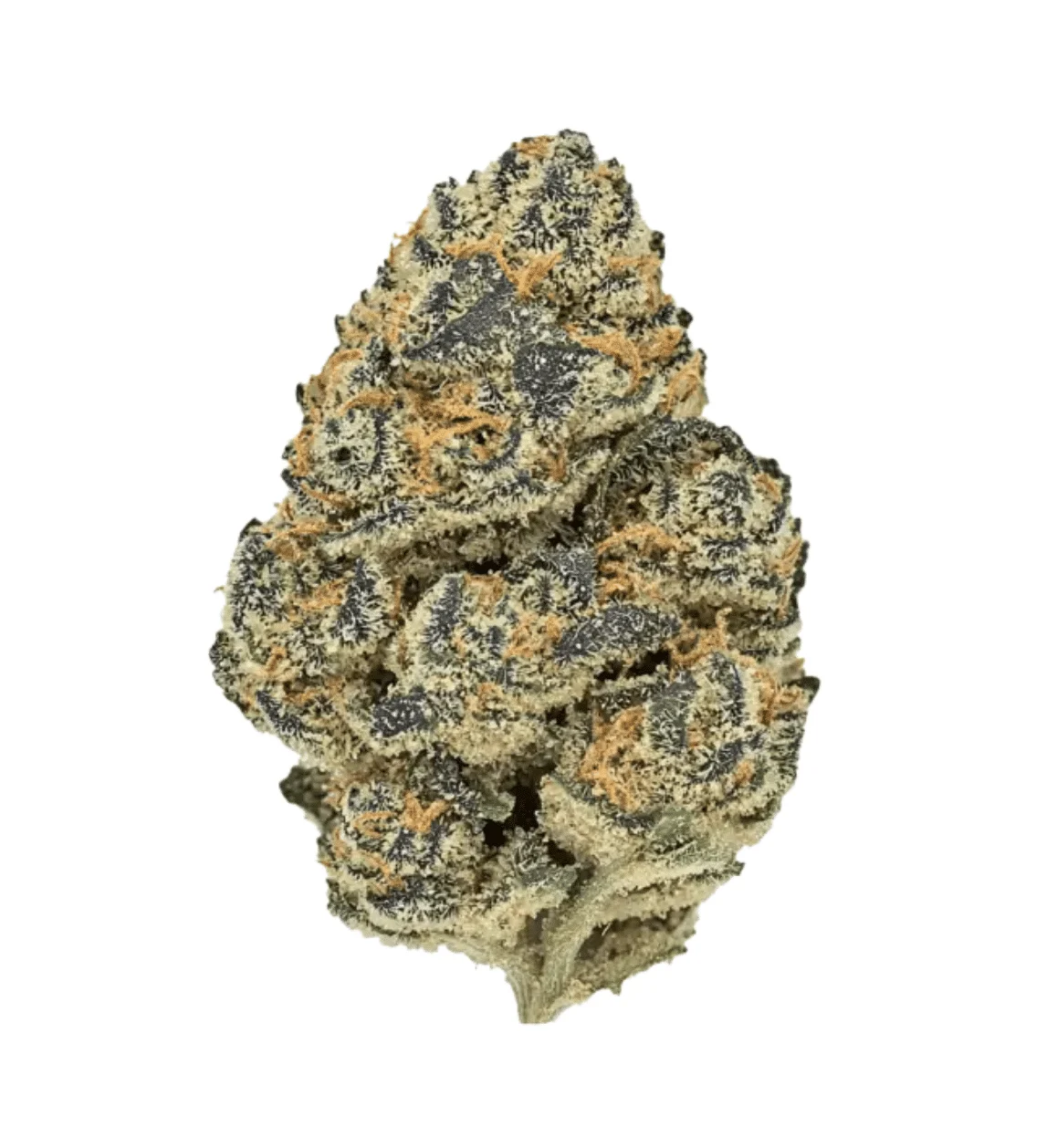 Gas Can THCA Flower