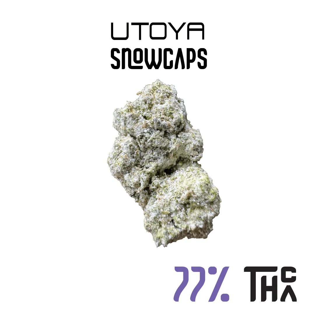 THCA Snowcaps | 77% THCA – Ice Cream Cookies