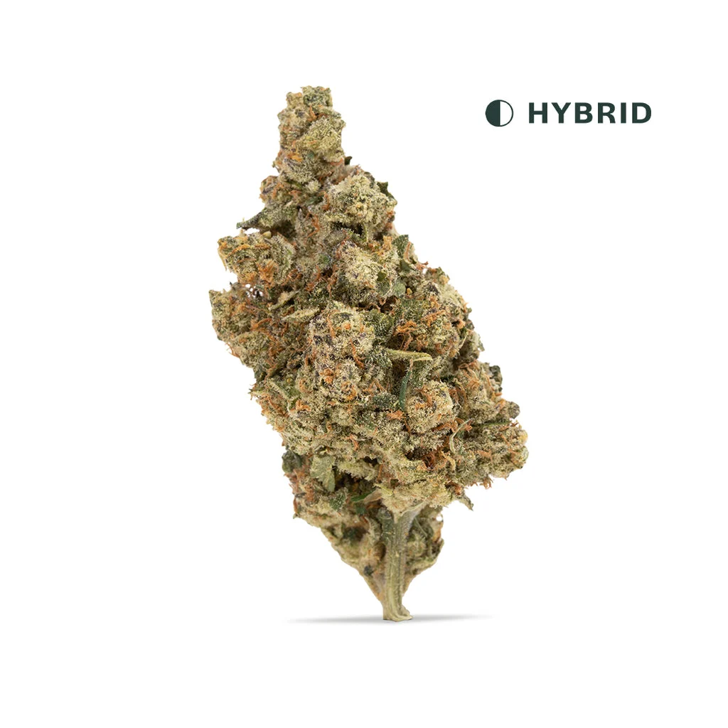 Cereal Milk High THCA Flower – 3.5g