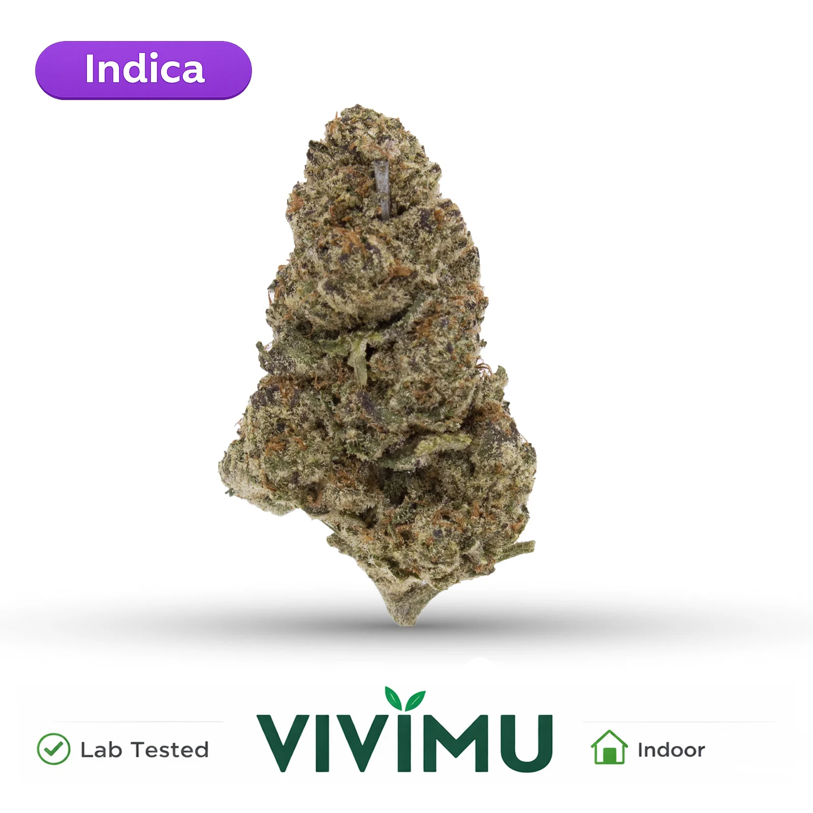 Purple Push Pop — Vivimu